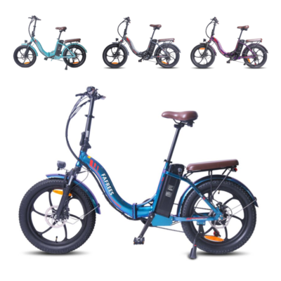 Fafrees Bici Elettrica Pieghevole Due Batterie 48V/12Ah&times;2