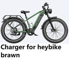 🔥Li-ion Lithium 3A fast  Battery Charger 48V DC Socket For heybike brawn Ebike