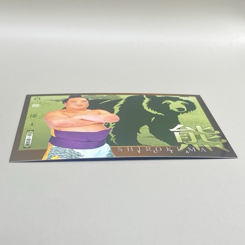 BBM Sumo Wrestling Card Yuta Shirokuma Bear 2024 Japan Japanese Rare F/S - Picture 12 of 12