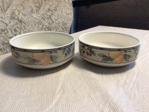 Mikasa INTAGLIO GARDEN HARVEST CAC29 Set of Two 6” Cereal Bowls NWOT #PP-1