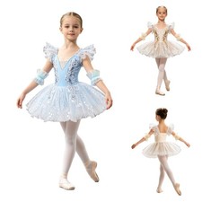 Girls Dancewear Glitter Dress With Cuffs Leotard Embroidered Princess Dance