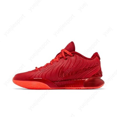 Size 10.5 - Nike LeBron 21 James Gang for sale online | eBay