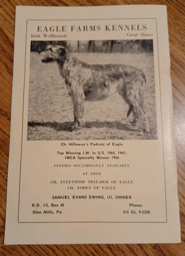 Harp & Hound Irish Wolfhound Club Of America Vol. XXI No. 2 1970 Magazine - Picture 2 of 2