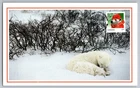 Canada 2015 Christmas Polar Bear FDC Maxi Card w/Pictorial Cancel