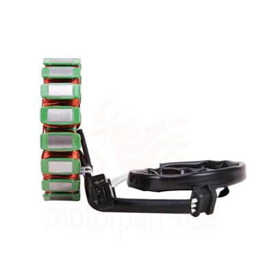 ExtremePowersport S Generador Magneto Rotor Bobina Estator Regulador De Voltaje Rectificador Junta Assy. Kit Para 09-12 Kawasaki Ninja ZX-6R ZX6R 636 21003-0083