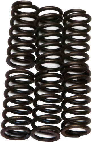 EBC CSK6 Heavy Duty Clutch Springs CSK6
