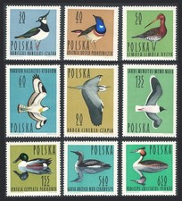 Poland Black-tailed Godwit Bird 50 gr 1964 MNH SG#1484-1492