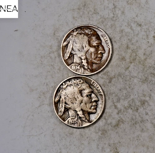 1934-D+1935-D Buffalo Nickel Set/Lot ~ Very Fine VF ~ZBL22