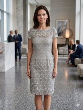 David Meister Silver Illusion Lace Overlay Sheath Dress Sz 6 Cocktail Wedding