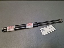 Lunette arrière Smart FORTWO