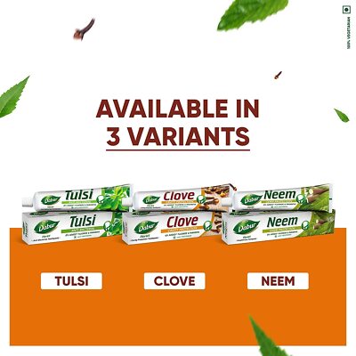 Dabur Kräuterkraut'l Ayurvedische Tulsi Nelke Neem Zahnpasta Hohlraum Keim Schutz
