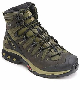 salomon quest 4d 3 gtx backpacking boot