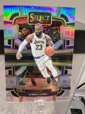 silver lebron james