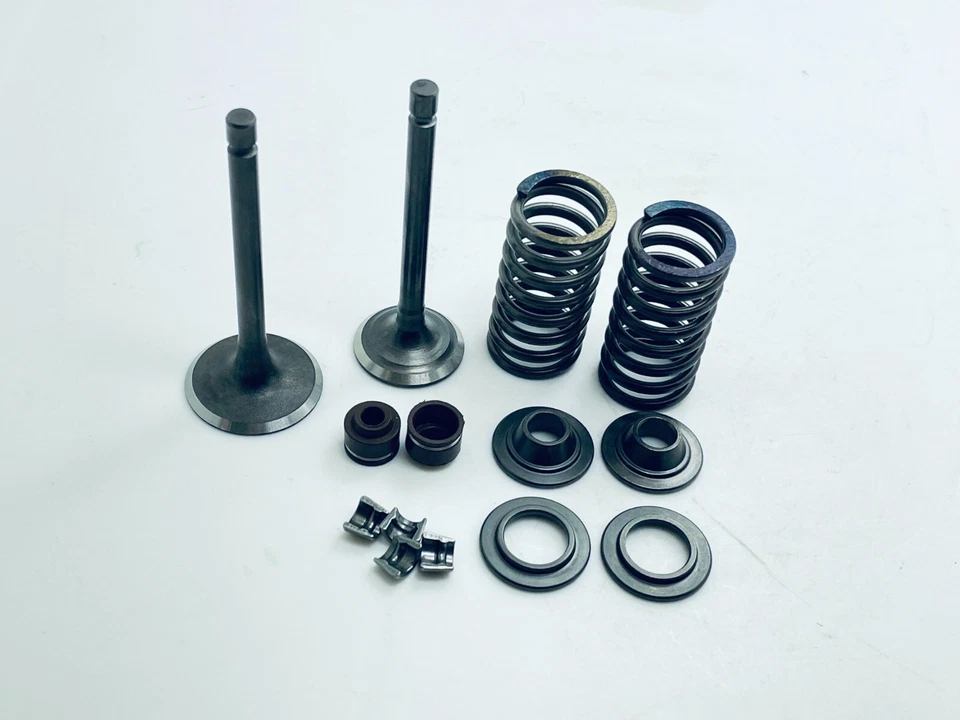 Kit de junta de asiento de resorte de válvula de motor para Yamaha YBR125 YBR125E YBR125ED EGS Foto 3 de 4