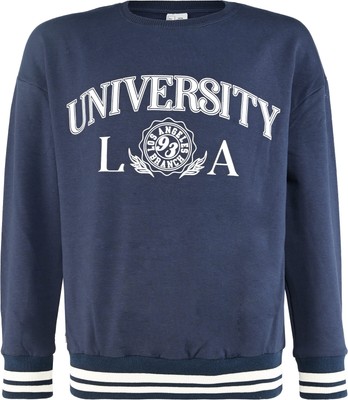 Blue Effect  Mädchen Sweatshirt Hoodie Pullover 128-164 Winter 2023-24