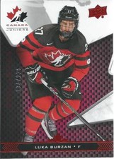 2018-19 Upper Deck UD Team Canada Juniors LUKA SURZAN #49 Exclusives 134/225