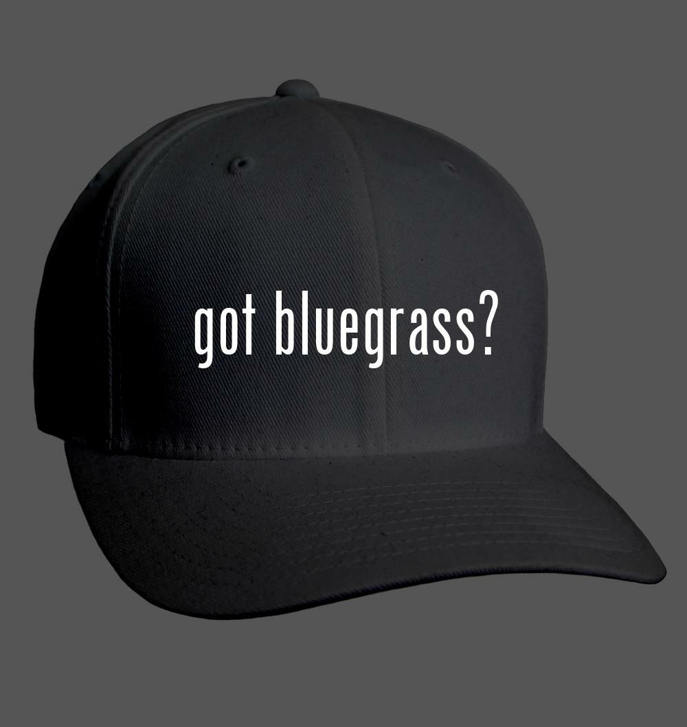 got bluegrass? - Adult Baseball Cap Hat NEW RARE | eBay