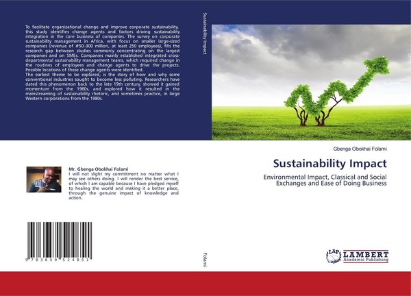 Sustainability Impact Gbenga Obokhai Folami-image