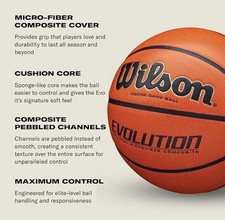 WILSON Evolution Indoor Game Basketballs Official size 29.5 Fast Shipping