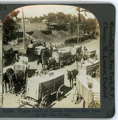 Wagons wait their turn at the Cotton Gin Texas Keystone Stereoview c1900