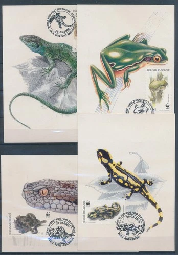 XE60216 Belgium 2000 animals fauna flora reptiles maxicards used