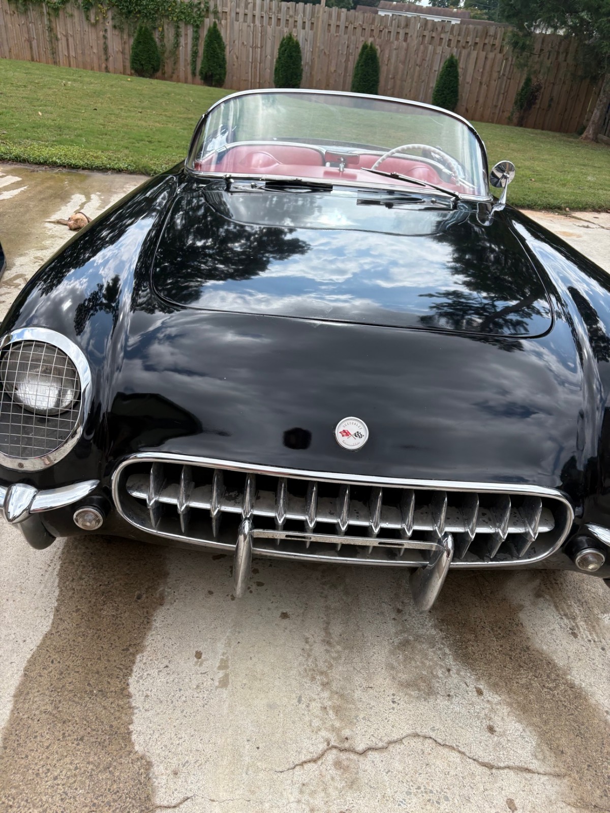 1954 Black Chevrolet Corvette   | C1 Corvette Photo 3