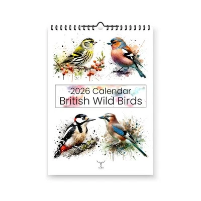 STAG GALLERY BRITISH WILD BIRDS 2026 WALL CALENDAR - WATERCOLOUR SPLASH EFFECT WITH FACTS