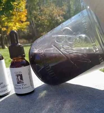 1/2 oz Ghost Pipe (Monotropa Uniflora) Double Extract