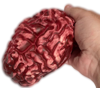 DELUXE FAKE BRAIN MODEL Hard Rubber Blood 6