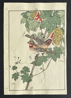 Bohemian Waxwings Woodblock Print by Imao Keinen Meiji Period