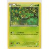 Pokémon Snivy Legendary Treasures 6/113 Common EN