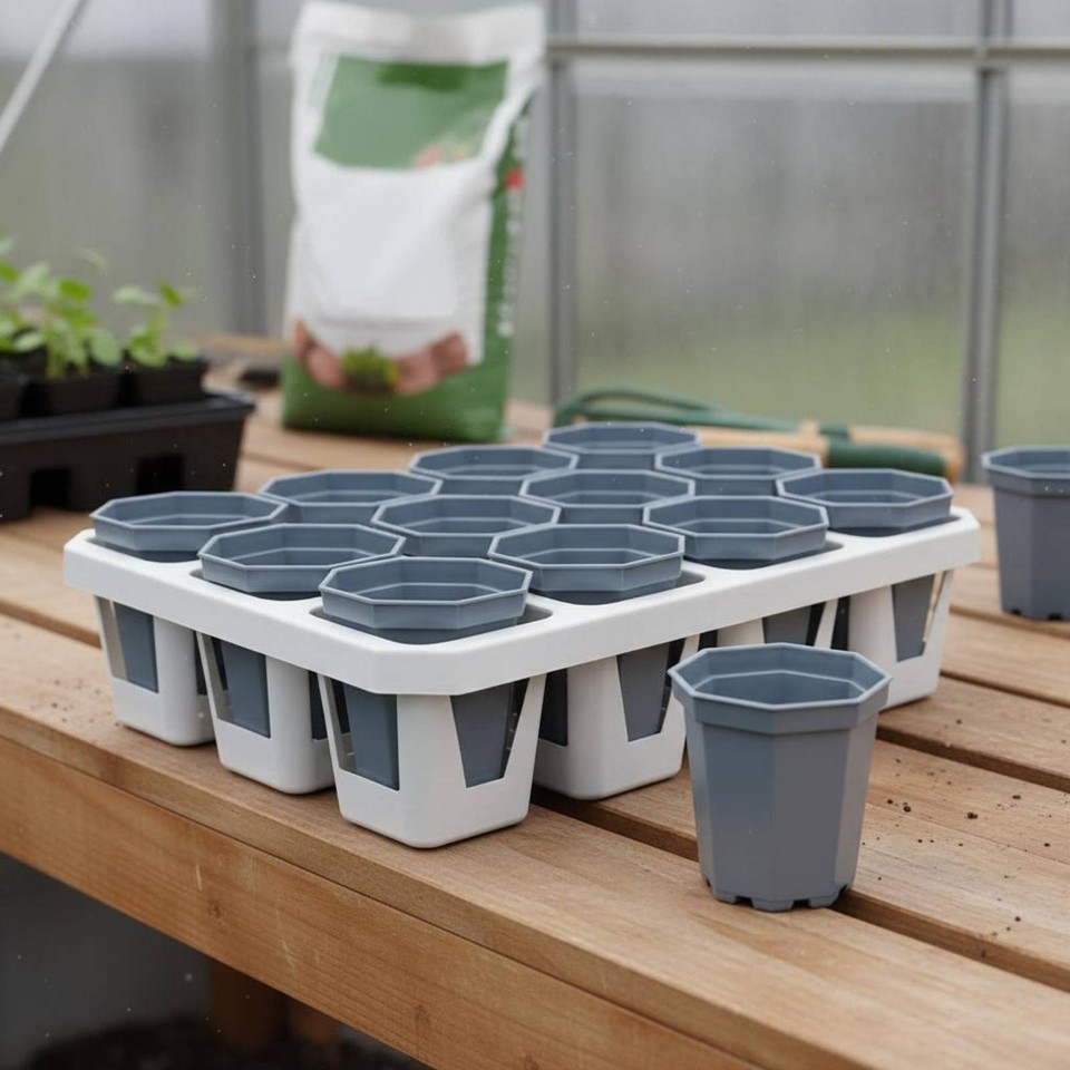 Desert Plant Pot Tray Simple Design Multi-Section Planter Holder Heavy ...