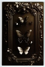 Vintage Photochrome Postcard Ornate Frame with Butterflies 5.5x4"