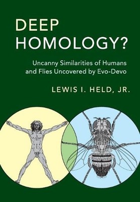Deep Homology?: Uncanny Similarities of Humans and Flies Uncovered by Evo-Devo b