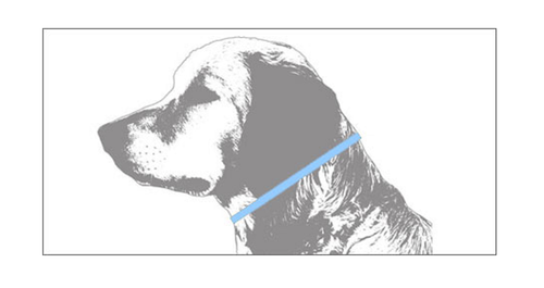 Guardian Gear NO-SLIP Martingale"Greyhound"Choke CHAIN&NYLON TRAINING COLLAR - Picture 3 of 15