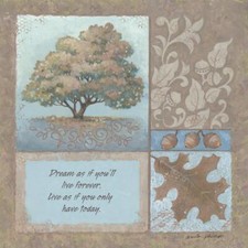 Ceramic Backsplash Tile Mural Inspirational Kitchen/Bathroom - Dream As If