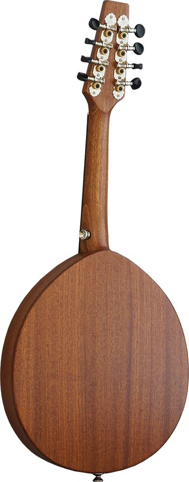 Mandolina plana Ashbury AM-110. Top y cuerpo Sapele liso. De Hobgoblin Music Foto 2 de 4