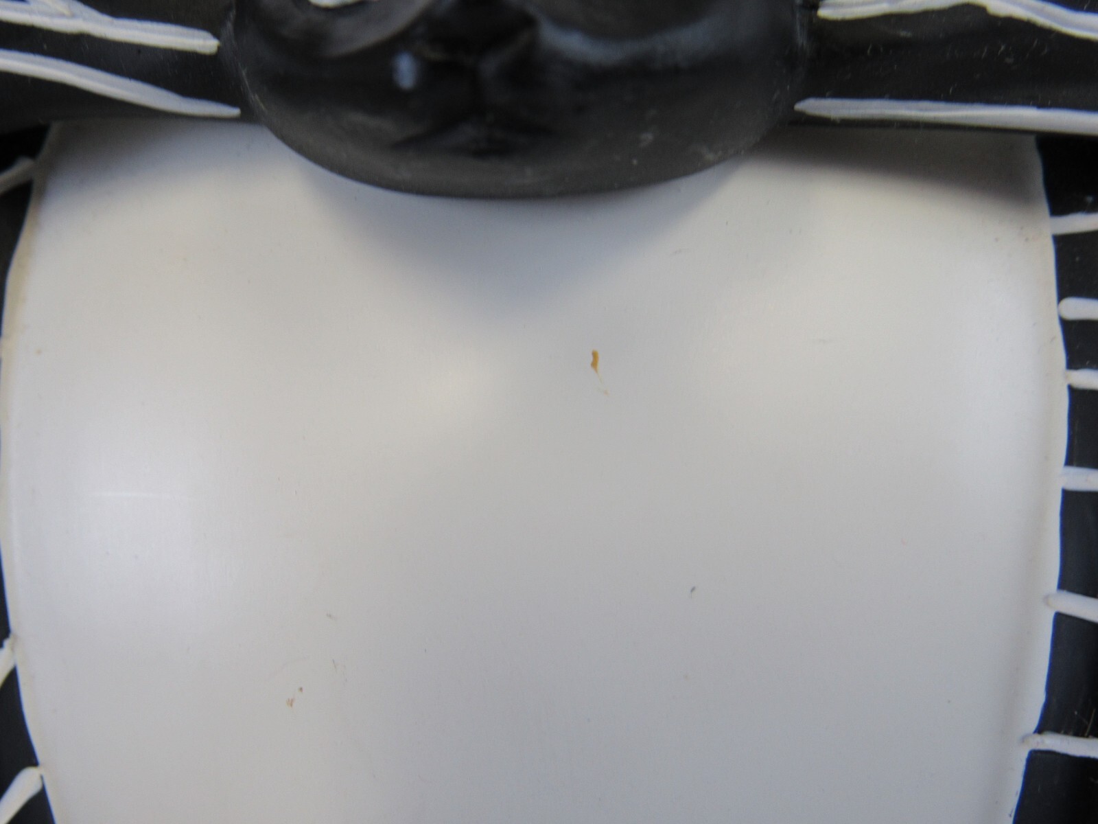 Picture 19 of 24