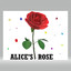 Alice's Rose
