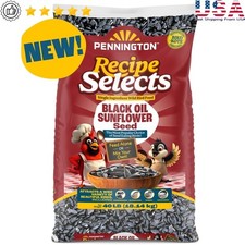 Premium Black Oil Sunflower Seeds 40lbs No Hulls High Protein Wild Bird Food New