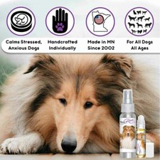 Collie Relax Dog Aromatherapy  Calms Frightened, Scared, Anxious Dogs Naturally