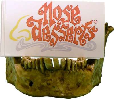 Human Skull Life Size Jaw Bone Mandible with Teeth, Replica Earth