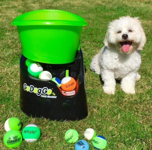 go dog go ball launcher ebay