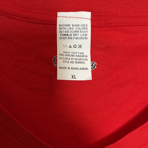 NCAA Wisconsin Badgers Women's Lines Short Sleeve V-Neck T-Shirt - XL - Picture 3 of 6