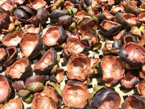 1000g Mangosteen Peel Powder Herbal Thai Organic Tea Great Reduce body Heat - Picture 3 of 12