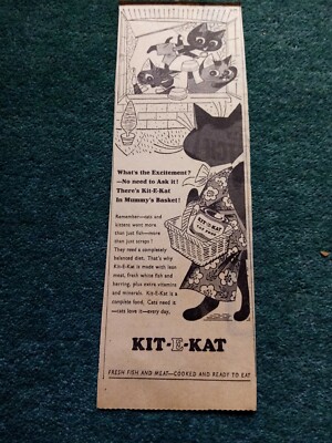 Rc1 Ephemera 1955 Reklame Bausatz e kat 