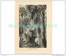 THE MOLLAHS RETREAT, Book Illustration, c1883