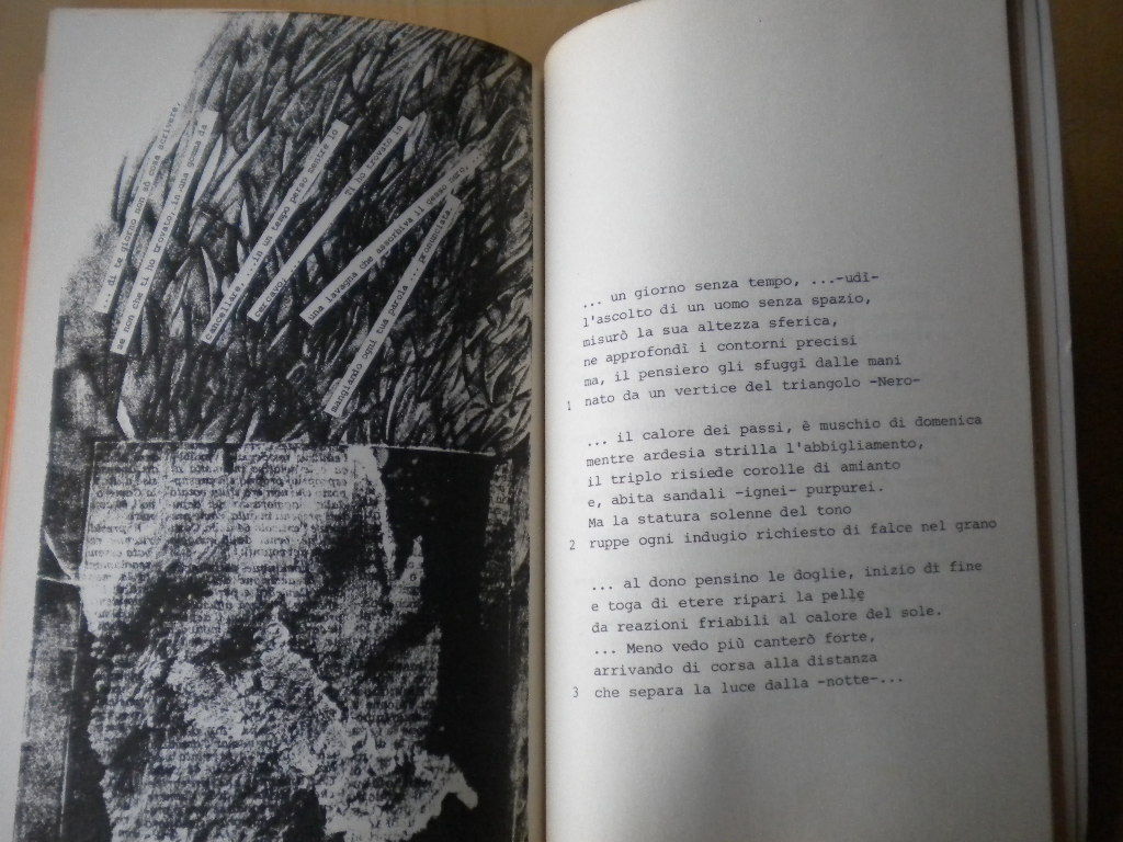Foto 4 di 5