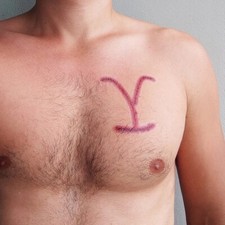 Yellowstone Brand Scar Temporary Tattoo / Cosplay Yellowstone Scar Branding