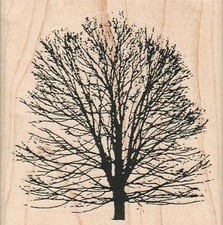 Tree With No Leaves 3 1/4 x 3 1/4" Rubber Stamp, Plant Stamp, Tree Stamp